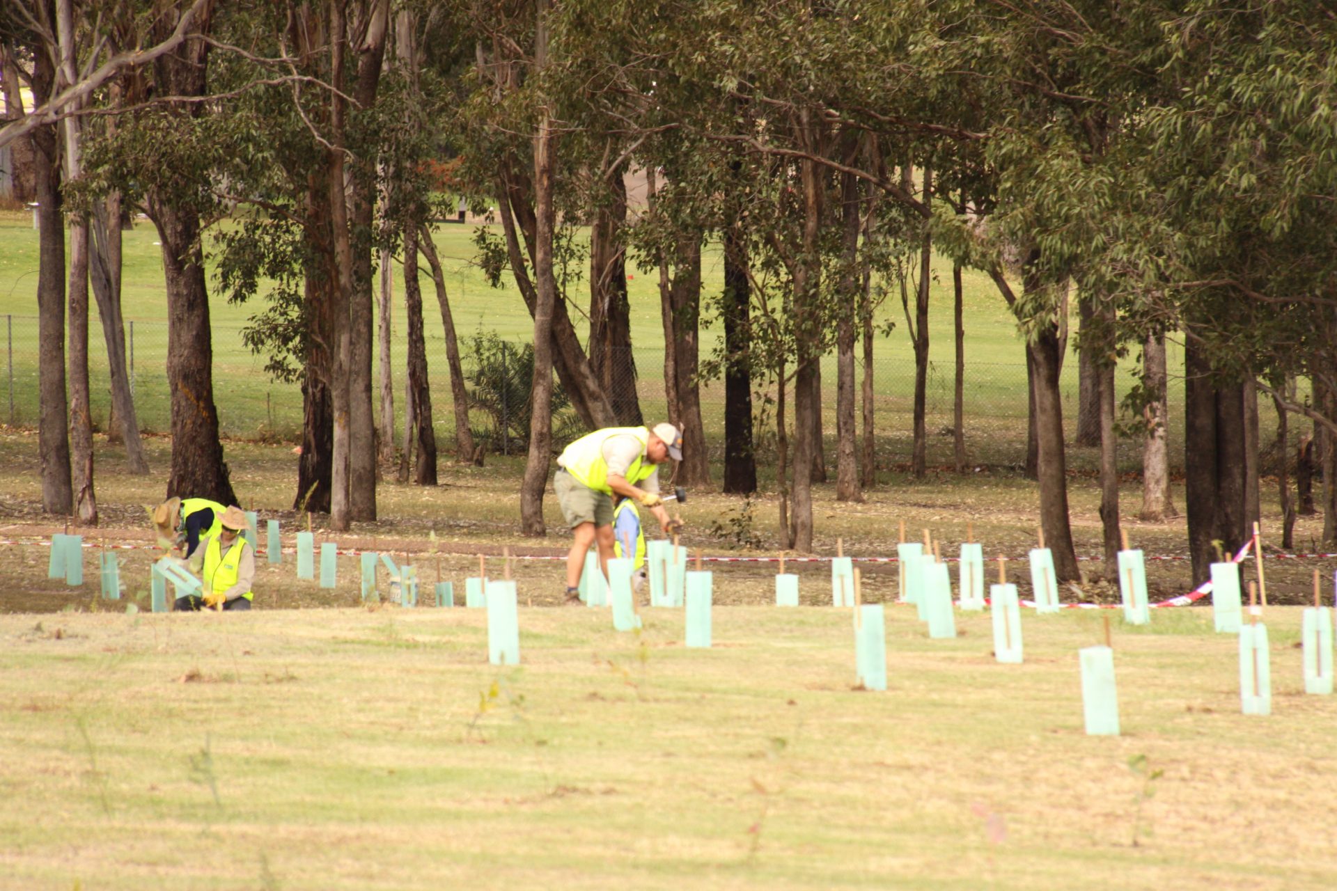 Landcare works with Fairfield Hospital